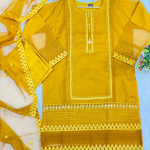 Organza 3Pcs Women,s Stitched Suit
