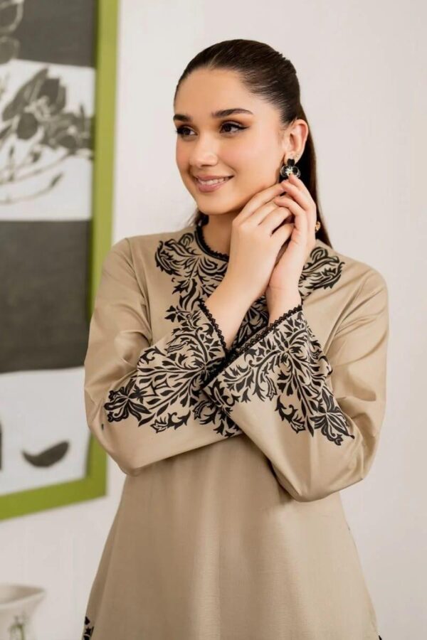 2Pcs Women,s Unstitched Embroidered Suit - Image 5